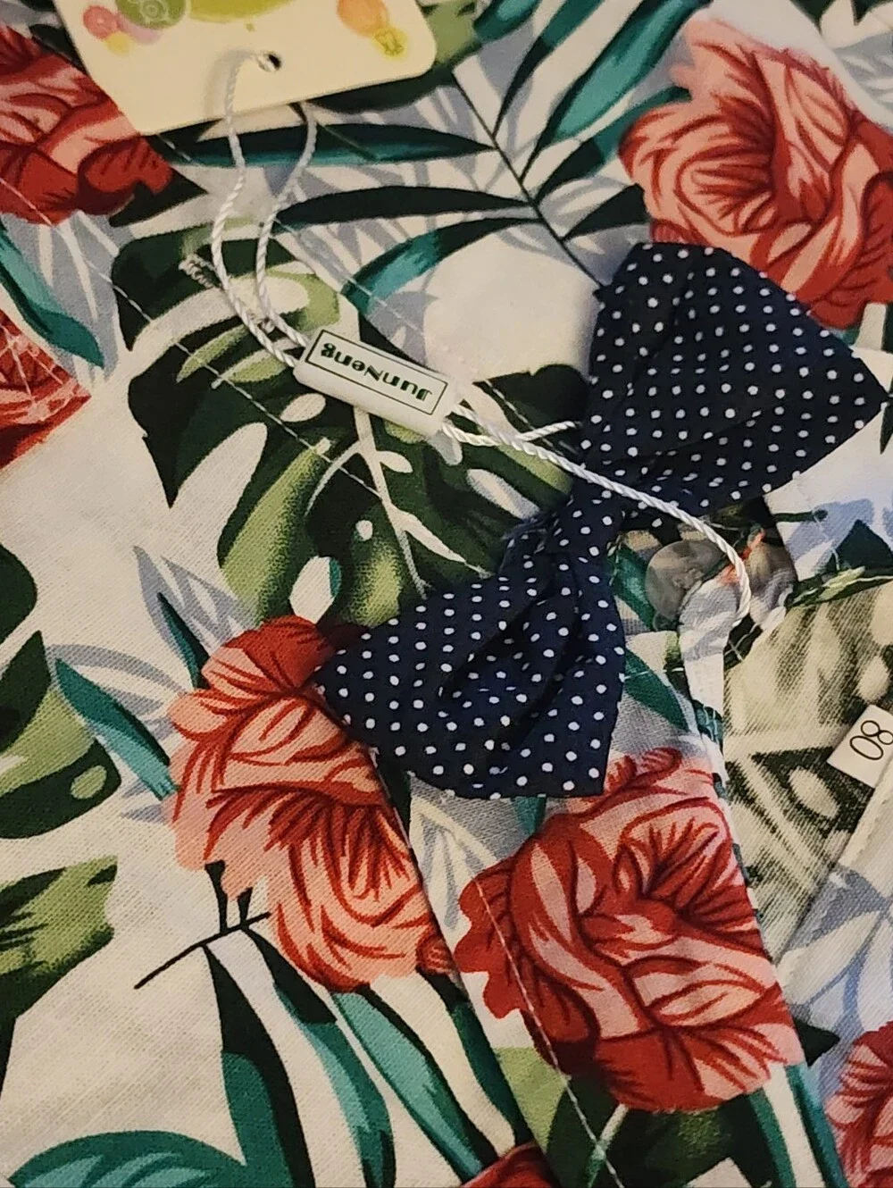 Tropical Set